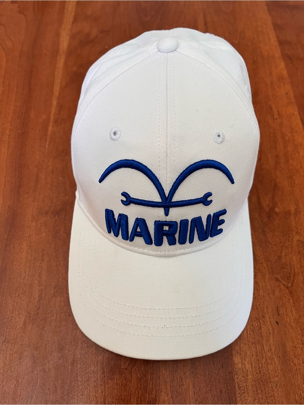 Rare Japanese One Piece baseball cap